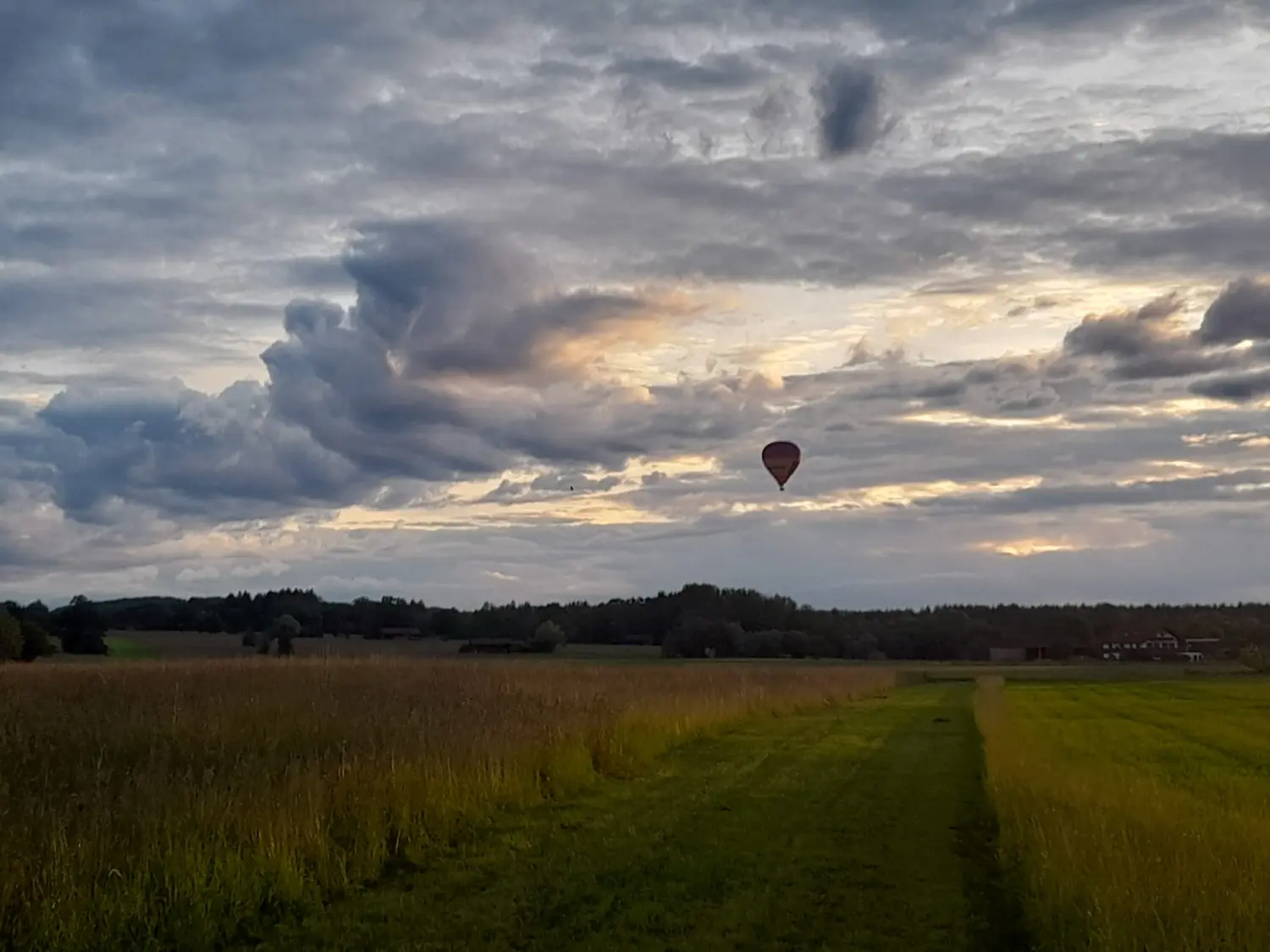 Ballonfahrt von SilverFox Ballooning