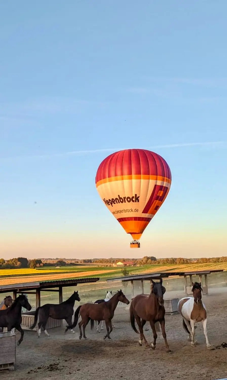 Ballonfahrt von SilverFox Ballooning